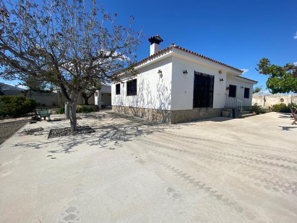 Mas Les Oliveres Vilaseca de Solcina Εξωτερικό φωτογραφία